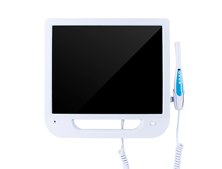 Dental Equipment VGA Interface Dental Intraoral Camera VGA Intra Oral Camera